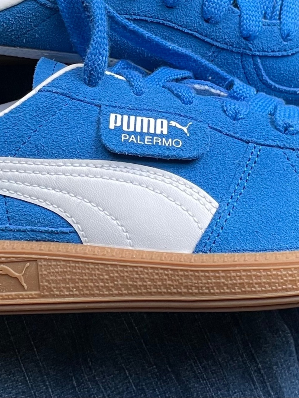 Puma Palermo Jr